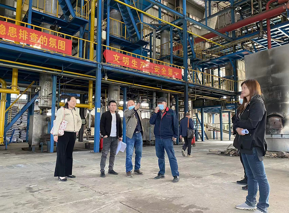 Professor Chen team from HUST discussed and inspected the biomass gasifier project on site with TL team